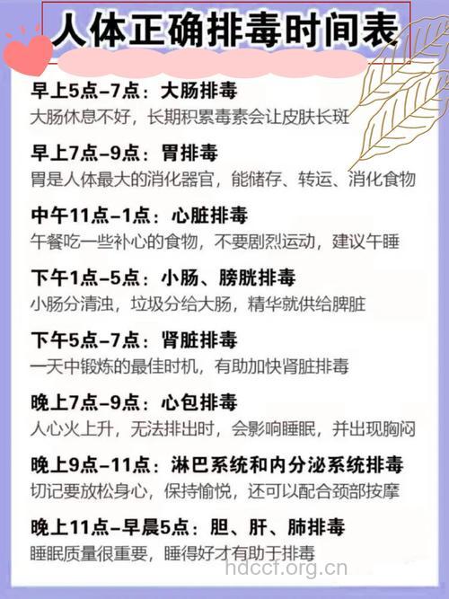 每天排毒最佳时刻推荐