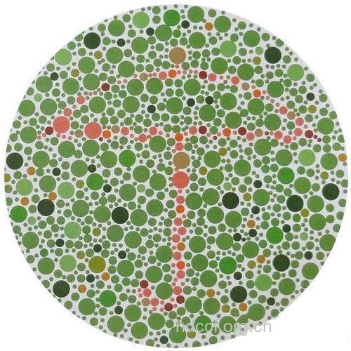 色觉障碍红绿色盲最常见