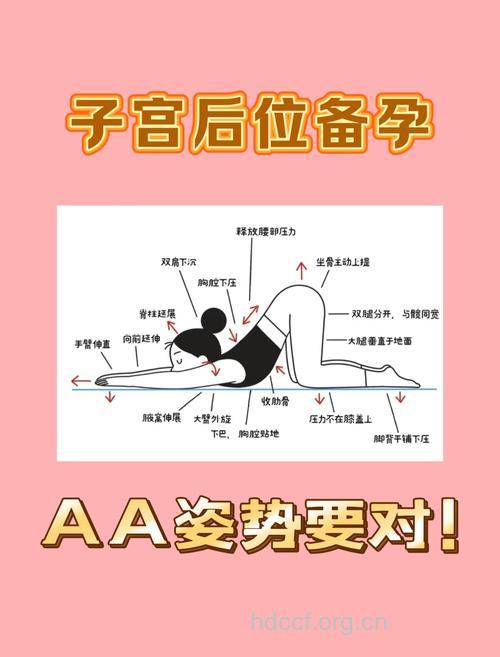 子宫后位希望怀孕时可采取补救措施
