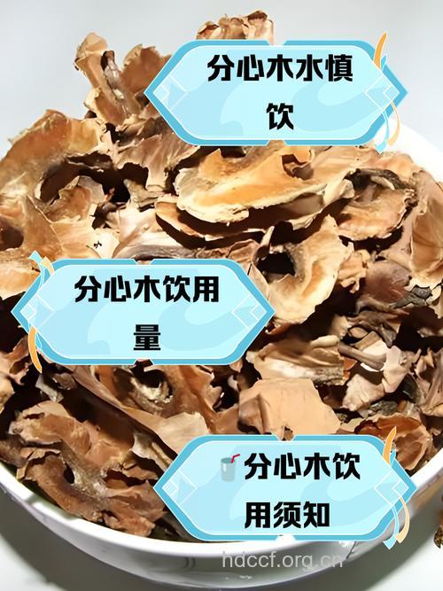 分心木泡水喝的禁忌有哪些