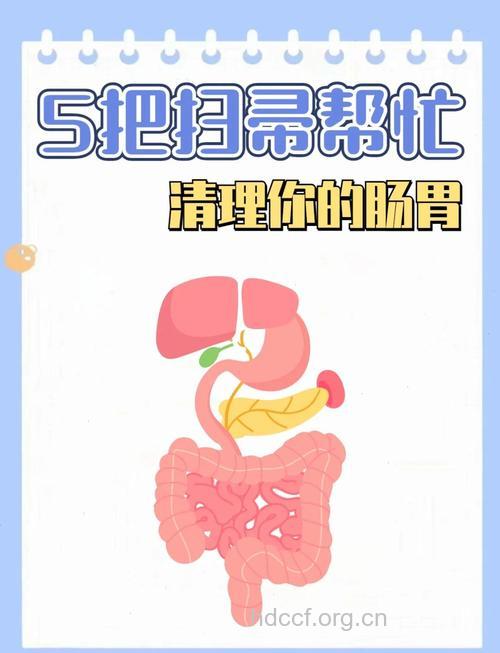 体内毒素多怎么办 最好的清肠排毒方法