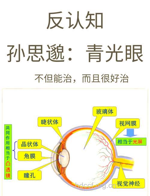电脑族要注意预防青光眼