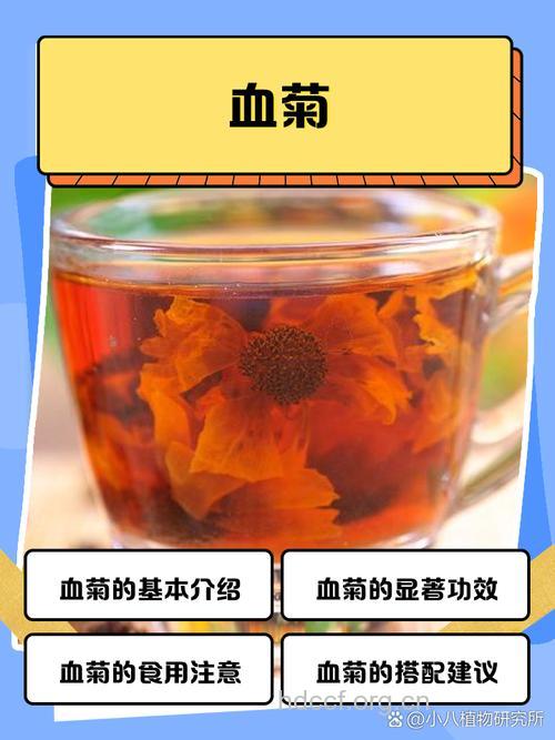 野菊花巧妙治疗红眼病