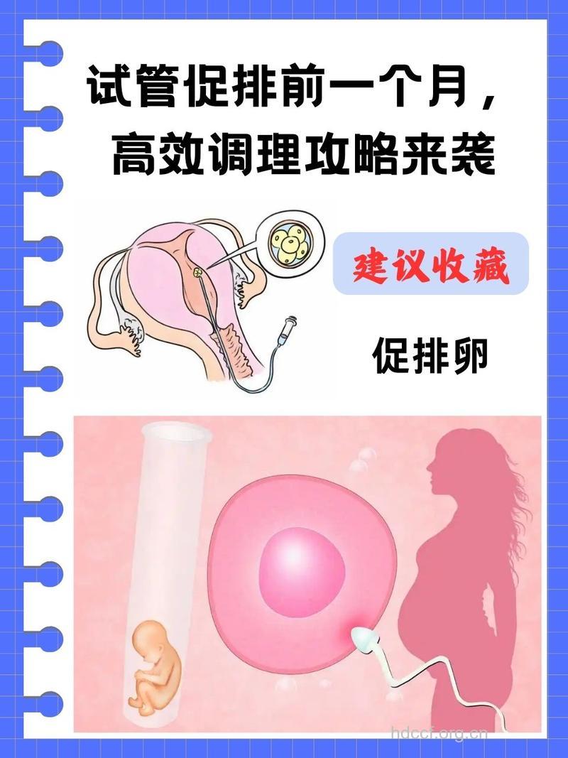 多囊卵巢治疗新法 穿刺卵泡促排卵