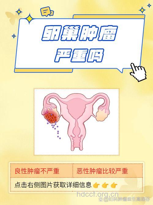卵巢肿瘤与不孕