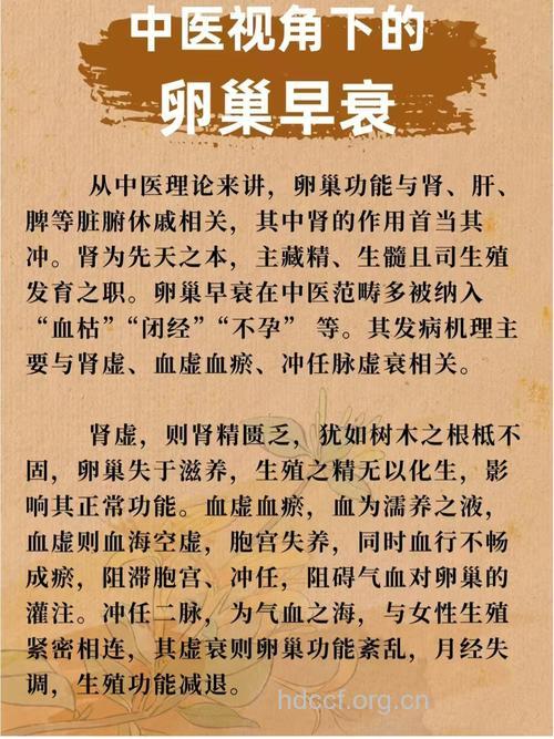 卵巢早衰的中医治疗方法
