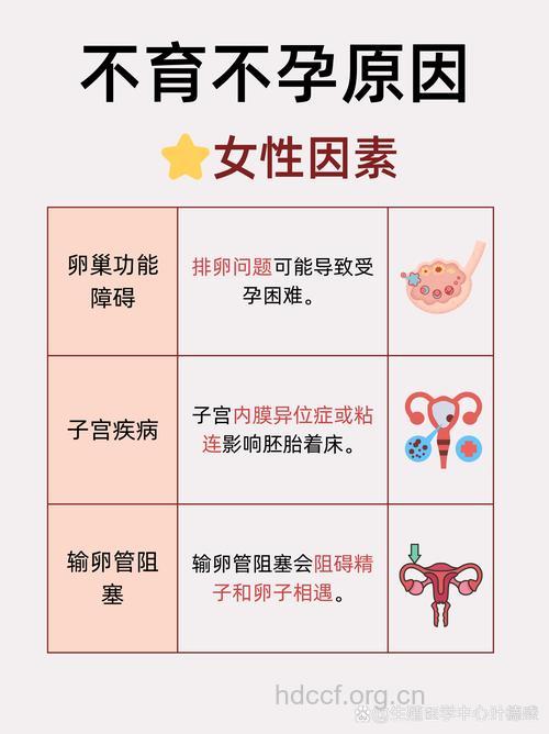 所有的卵巢手术均会导致不孕不育吗?