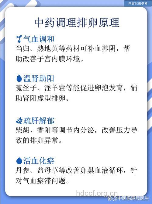 不排卵的中西医治疗方案