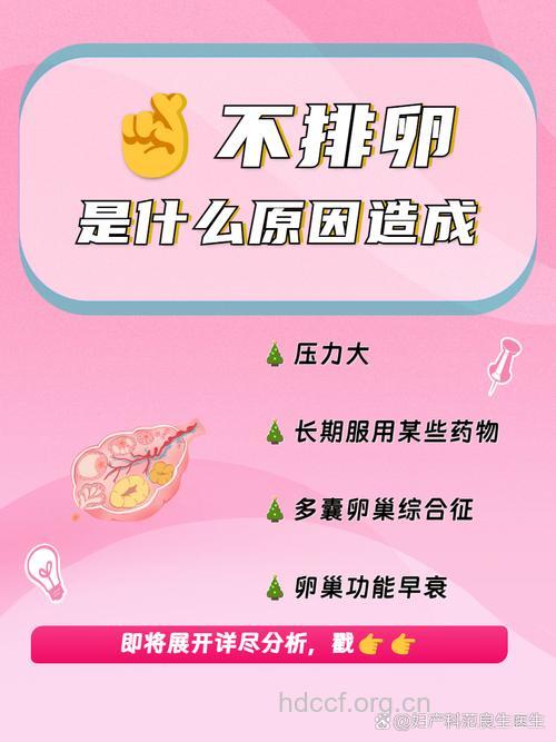 不排卵是怎么造成的