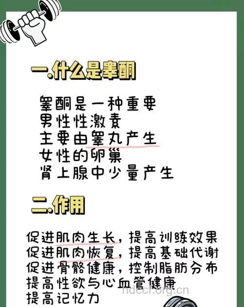 睾酮影响着女性的“性”欲
