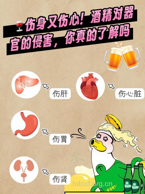 喝一次酒 身体九大器官都受累