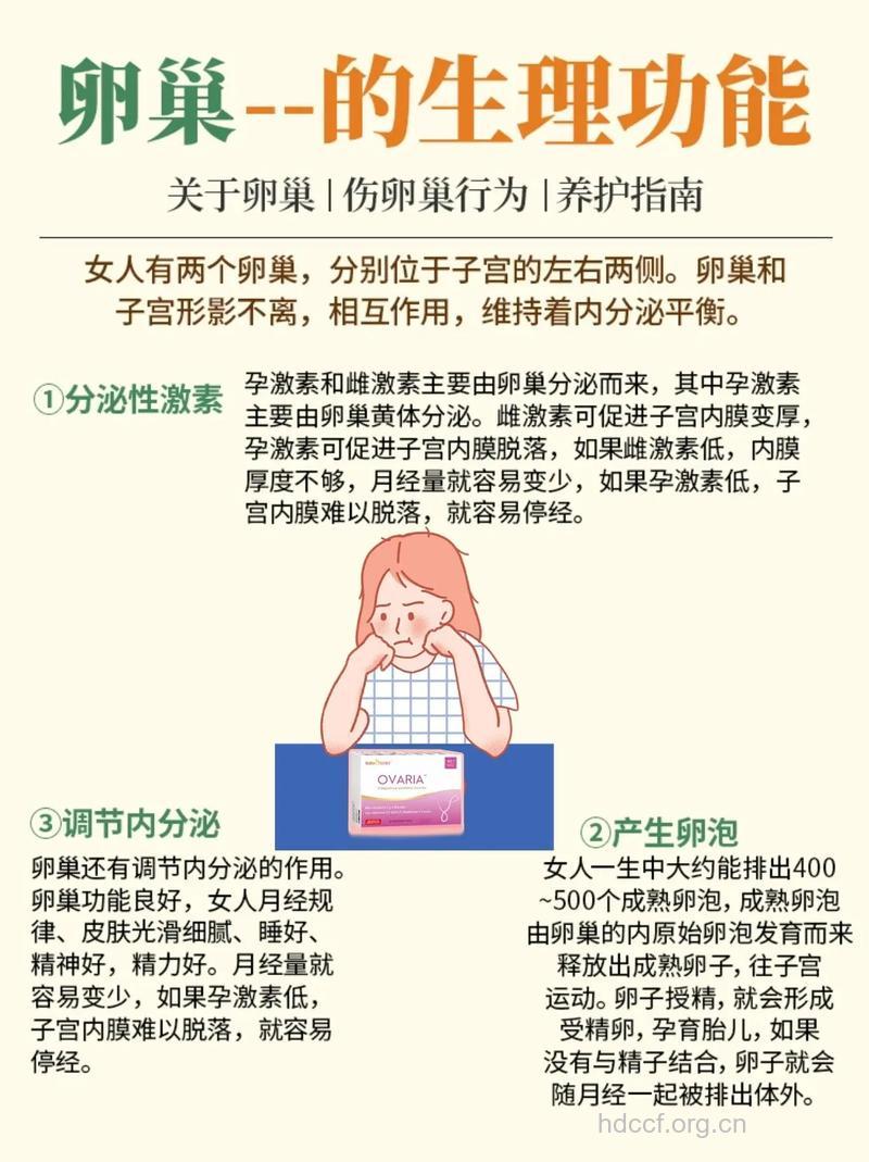 哪些因素影响卵巢功能?