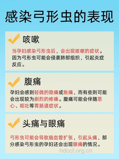 孕妇弓形虫感染的临床表现