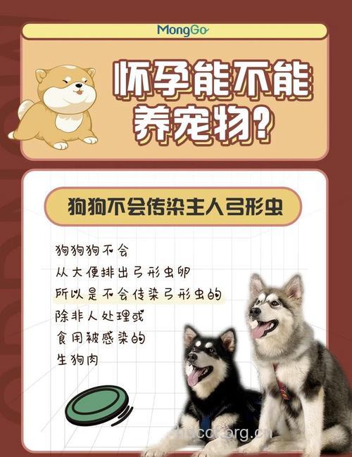 养宠物需谨防弓形虫感染引起不孕