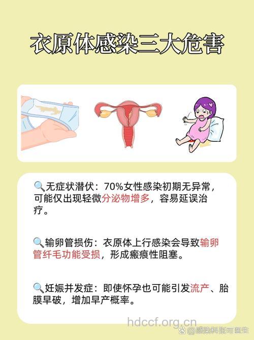 衣原体感染可导致不孕