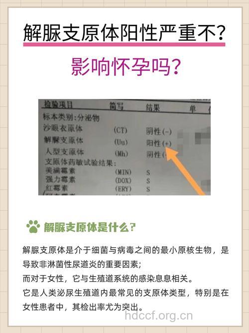 不孕不育，别忽视支原体检查