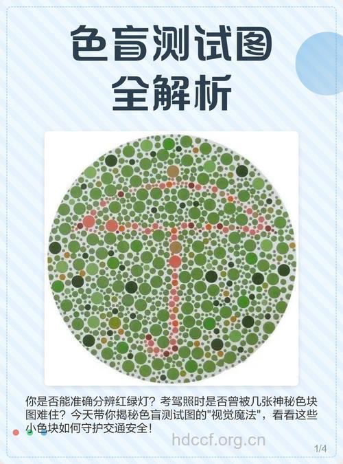 色盲在男性中更流行
