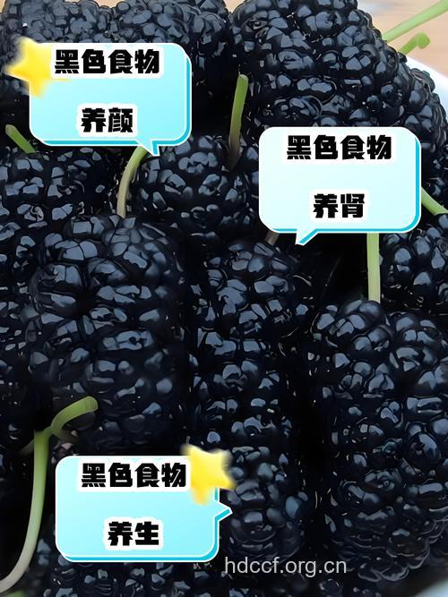 5种黑色食物补肾效果好
