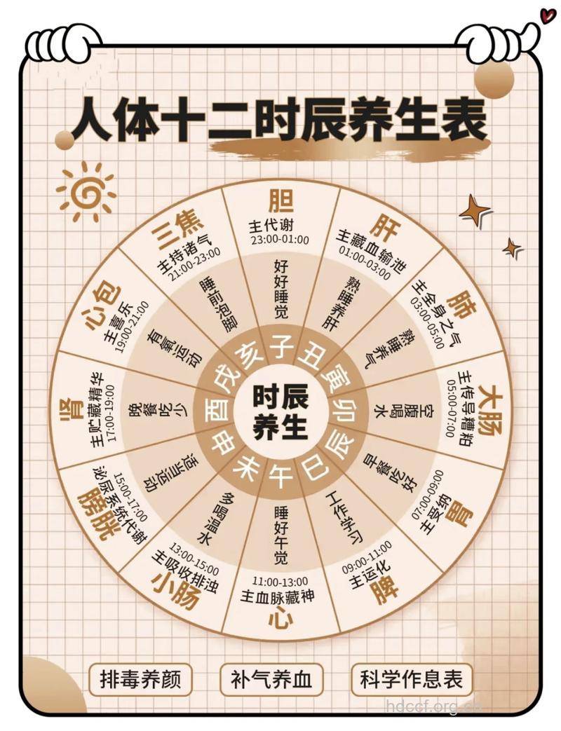 十二时辰养生 子时到巳时养生