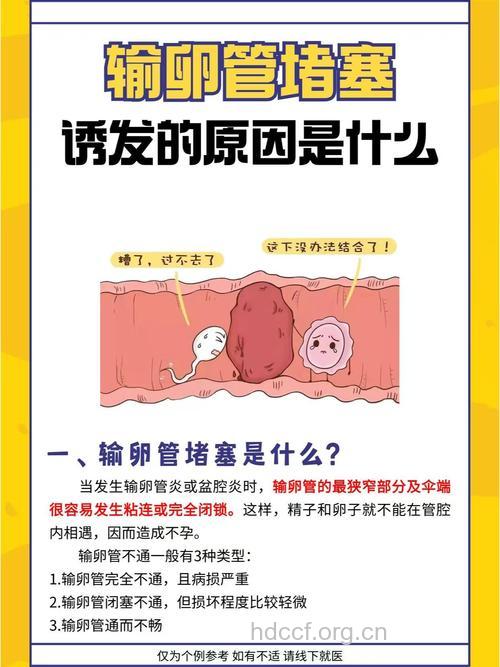 女性输卵管不通是为什么?