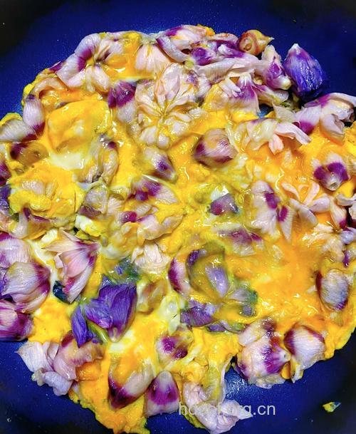 鲜花美食 木槿花的功效及吃法