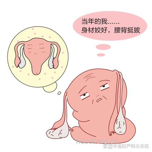 女性工作压力大 卵巢负担重