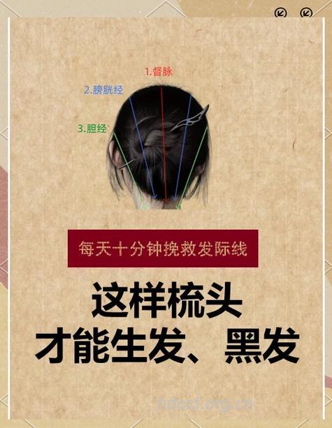 梳头保健 脾胃不好多梳前发际线