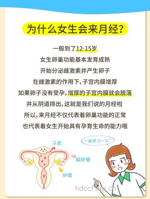 女人为什么会有月经?