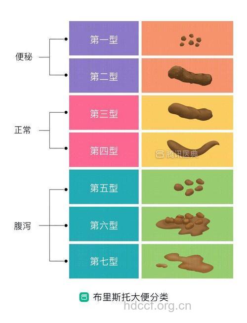 最完美的粑粑长这样 你的粑粑是哪种