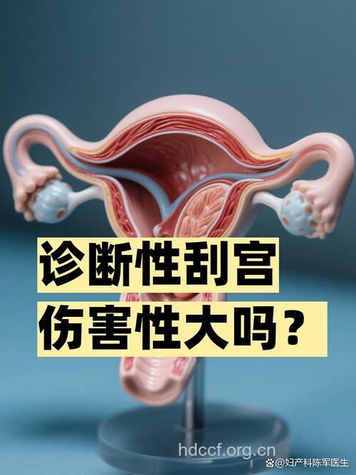 刮宫可导致女性得不孕症