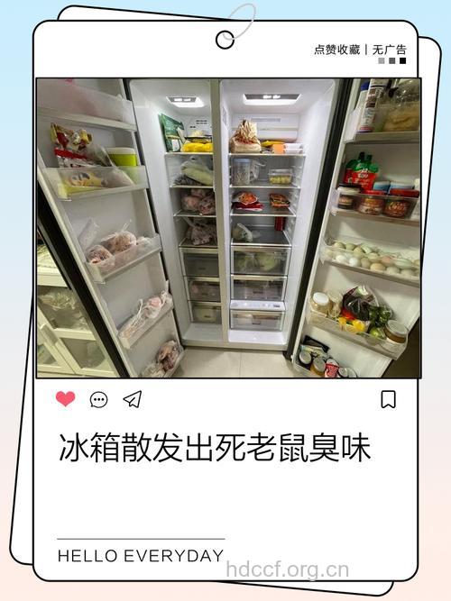 这些东西放进冰箱里反而容易变质