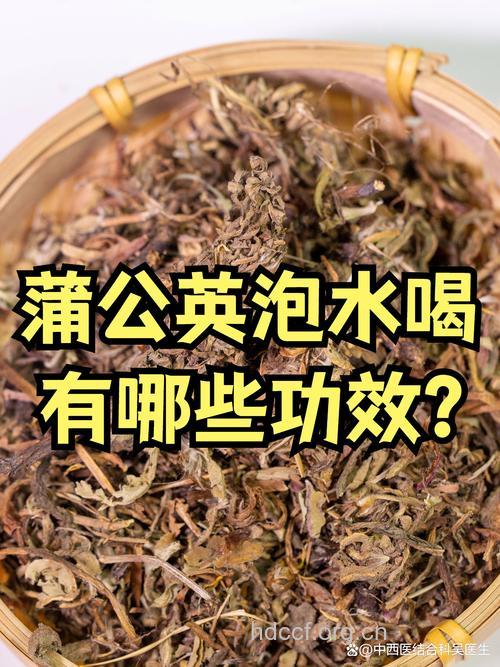 婆婆丁泡水喝的功效