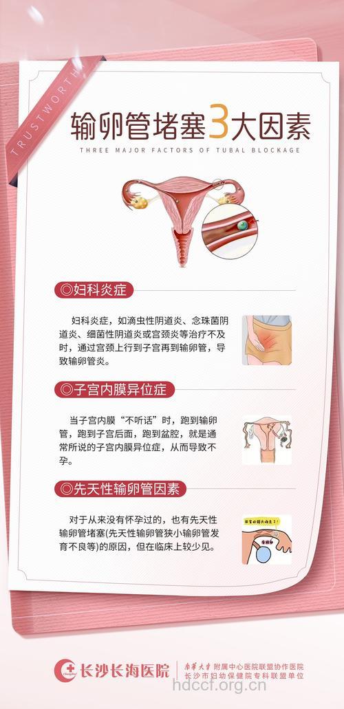 怎样预防输卵管炎?