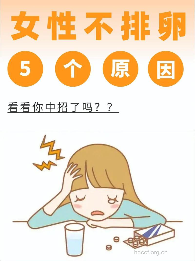 紧盯排卵期可能会导致不孕不育