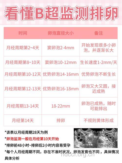 女人不排卵 到医院查什么