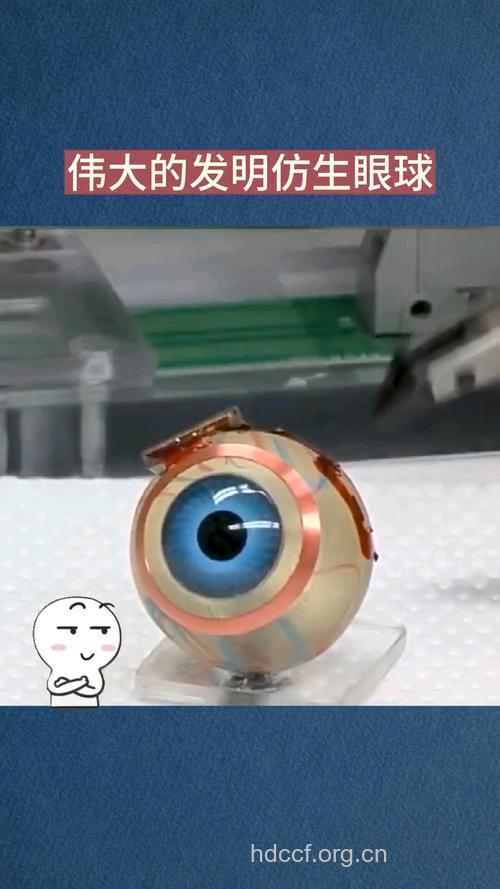 仿生视网膜让盲者重见光明