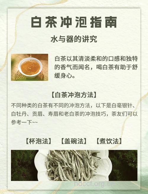 白茶泡水喝的功效
