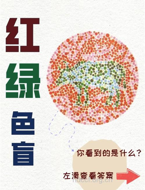 红绿色盲是一种基因遗传性疾病