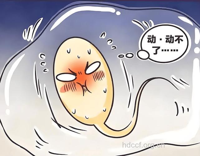 精液不液化引男性不育 生活中怎样预防