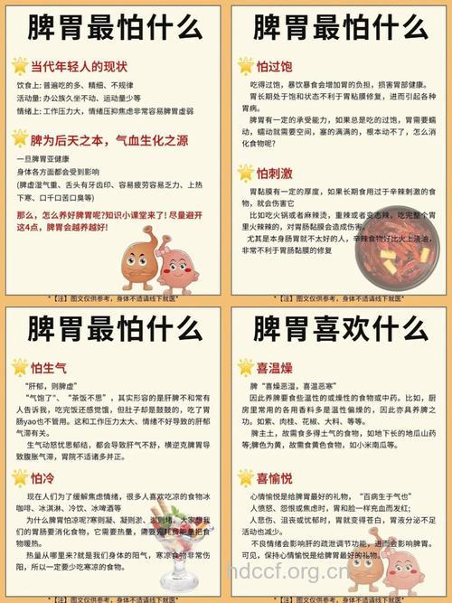 调理脾胃坚持四大饮食原则