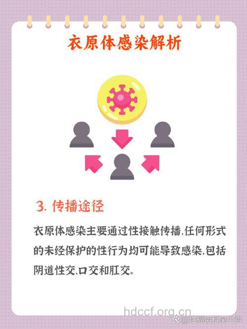 衣原体感染危及女性健康