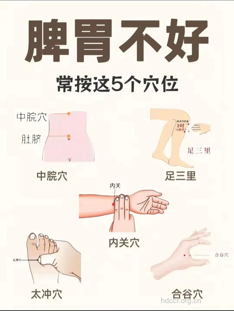 脾胃受伤五脏也遭殃 按摩法帮助健脾胃