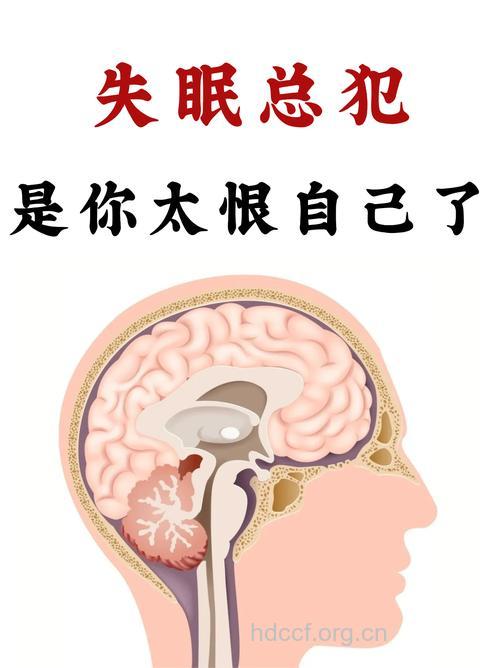 失眠谁是罪魁祸首