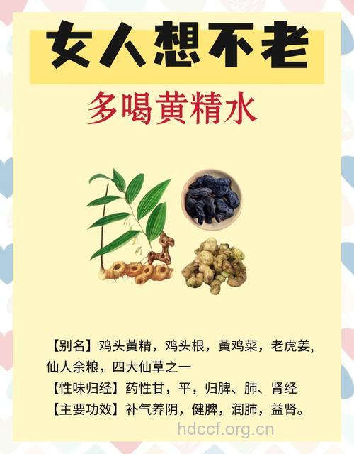 黄精泡水喝的功效