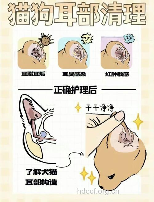 外耳道冲洗法的方法和禁忌