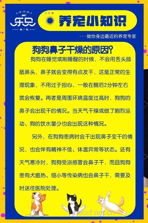 鼻干是什么原因 鼻子干燥怎么办