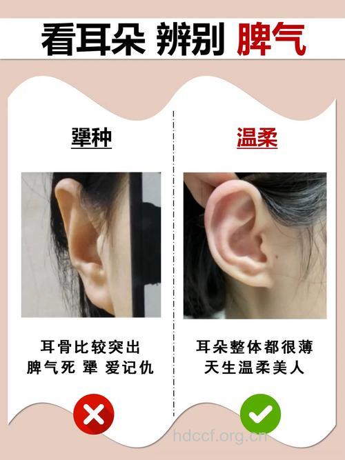 耳垂整形常见四个问题