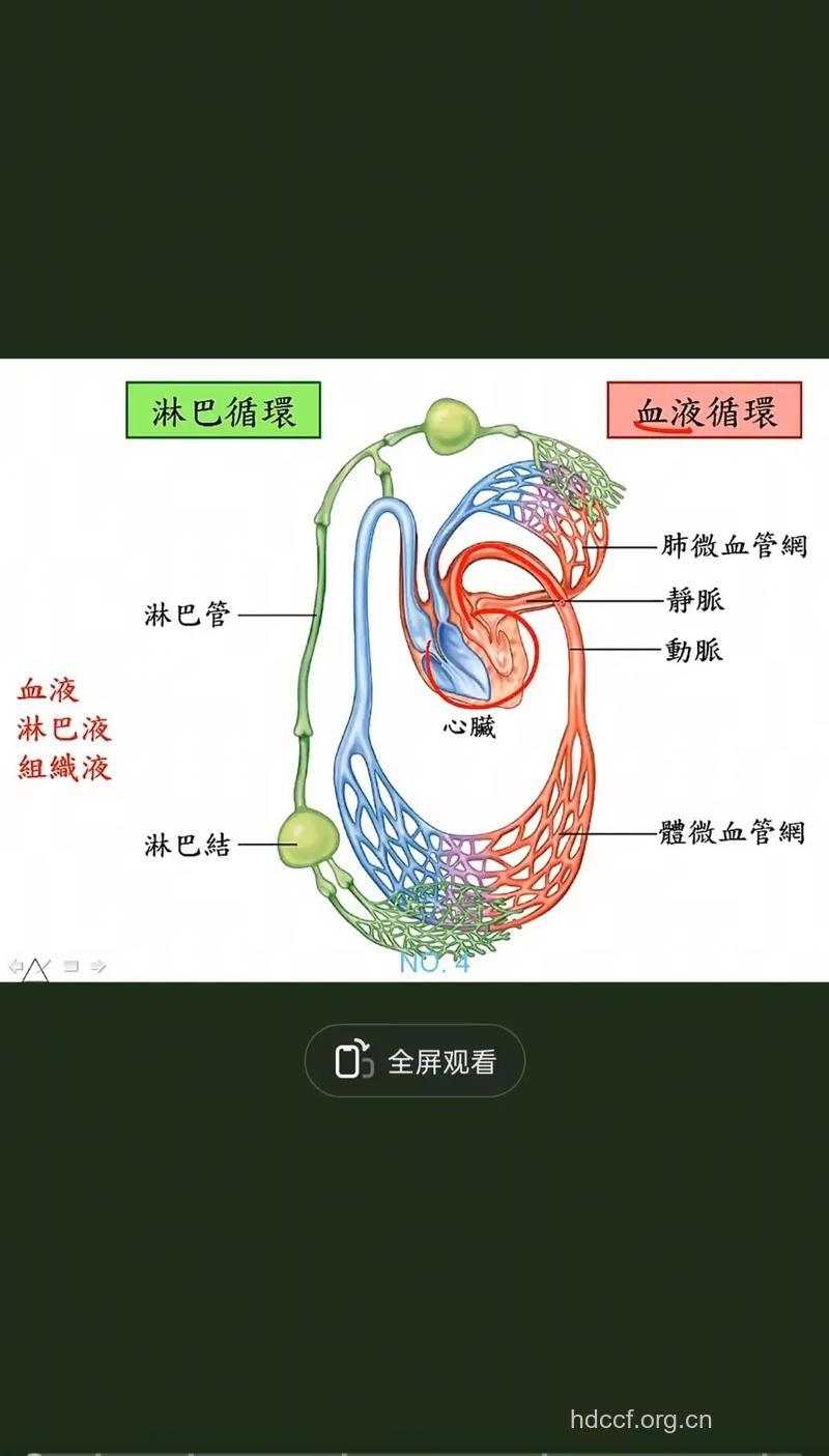 性淋巴肉芽肿的三大传播途径