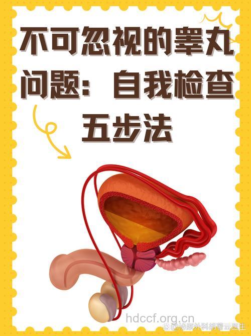 睾丸局部高温 如何检查无精症