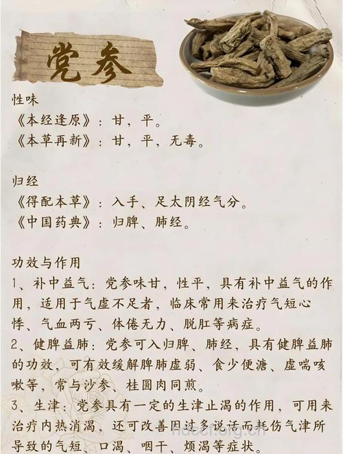 党参泡水喝的功效